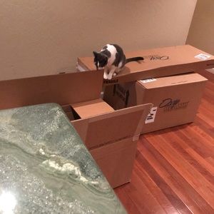 Meet your Posher, Pam